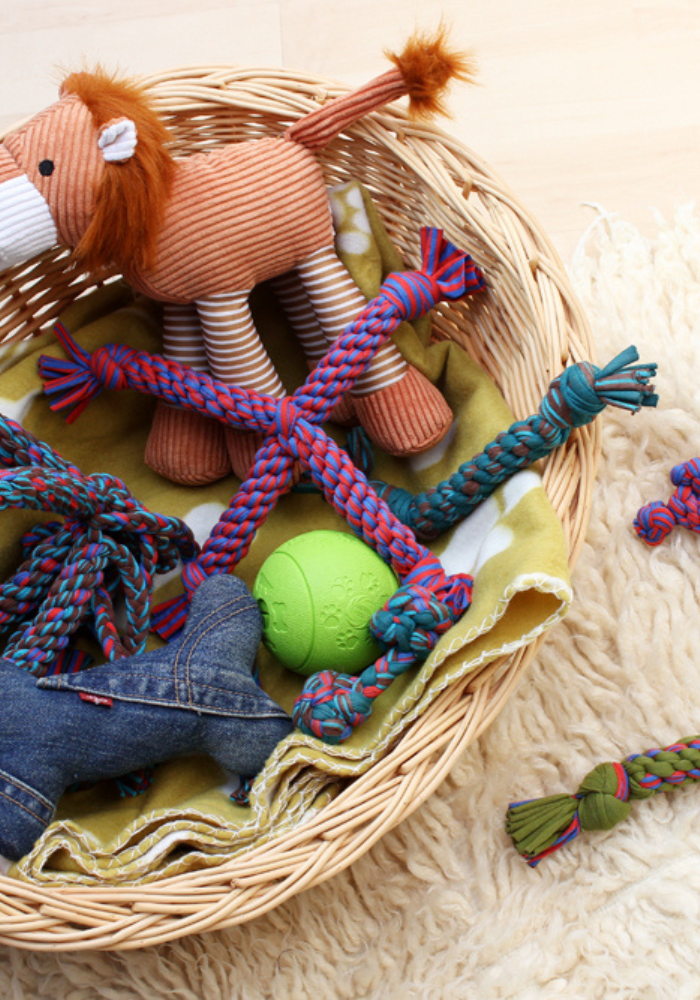 dog toys in basket